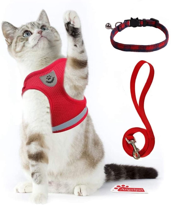 猫用ハーネス 6