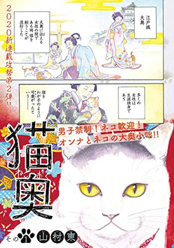 猫奥 2