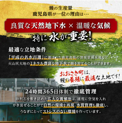 鹿児島県産 うなぎ長蒲焼 2