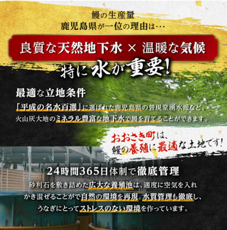 鹿児島県産 うなぎ長蒲焼 2