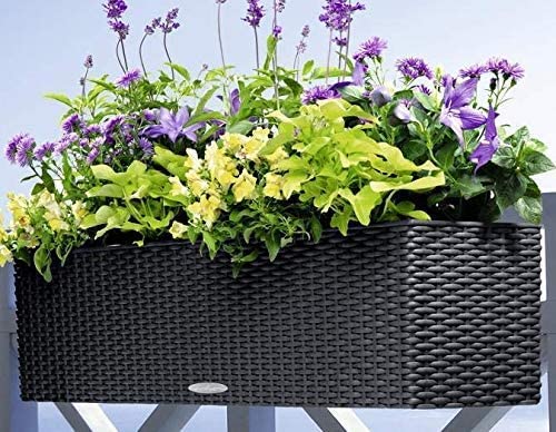 21年 ハンギングプランターのおすすめ人気ランキング15選 Mybest