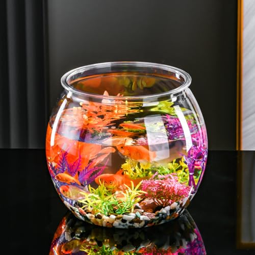 金魚鉢 2