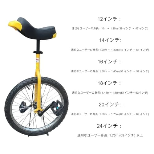 imgrc0081141532.jpg