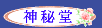 新宿占い神秘堂 1