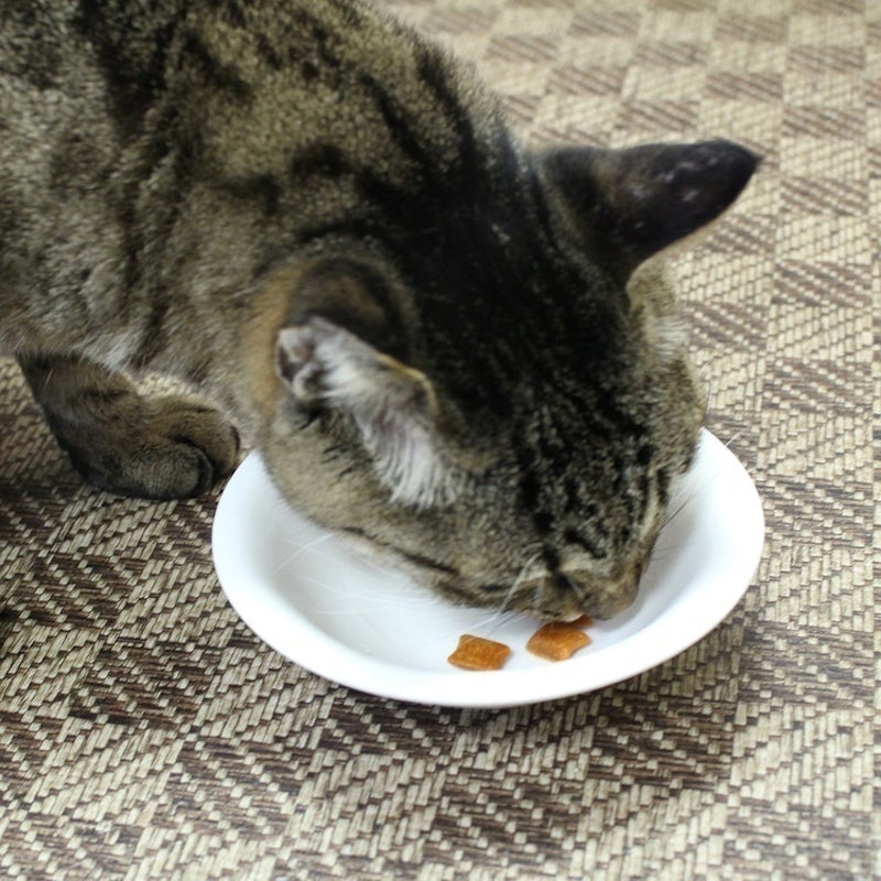 猫の毛玉ケアスナック まぐろ味 8