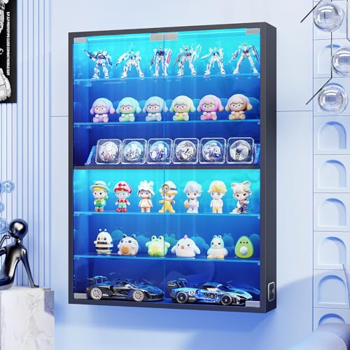 コレクションケース 1