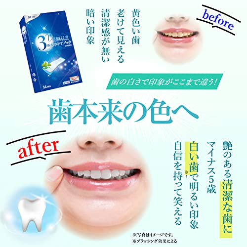 歯集中ケアパック 6