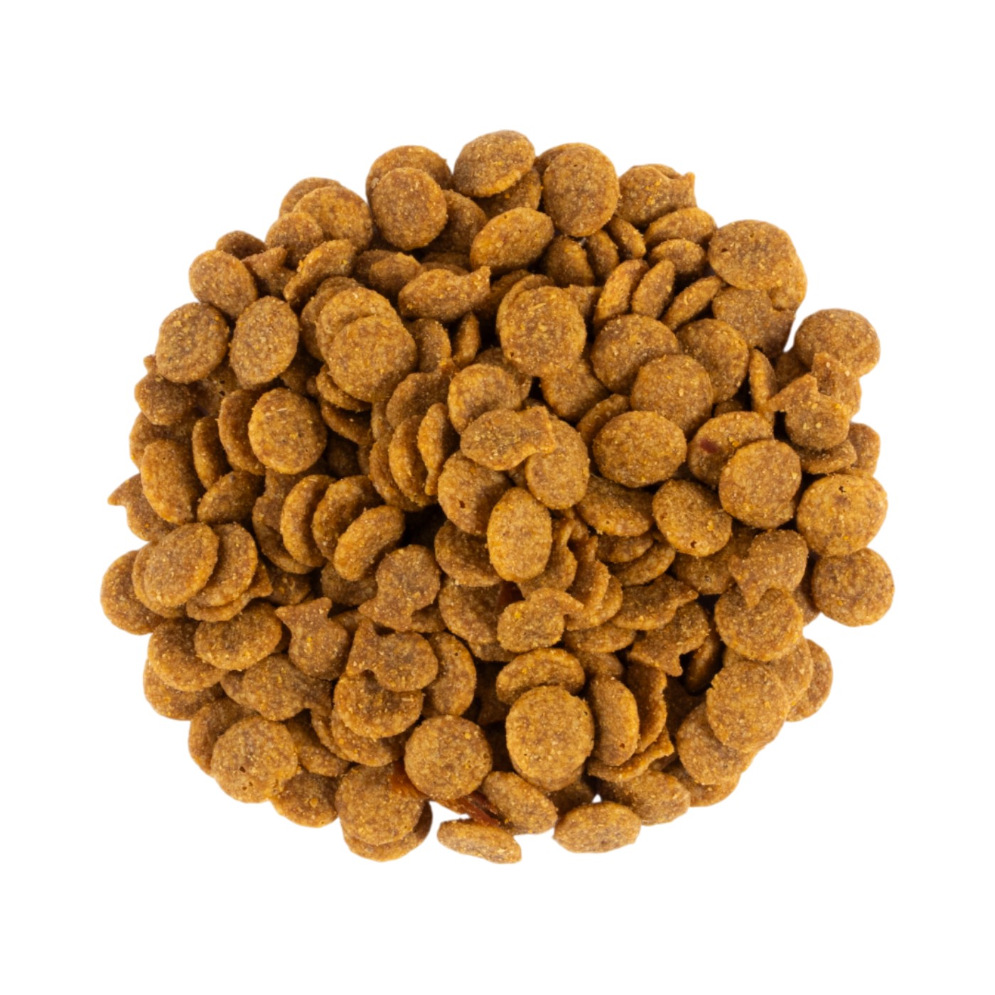 キャット 腎臓の健康維持 7