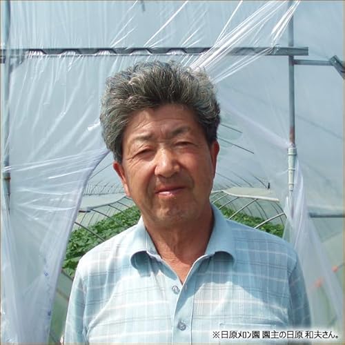 北海道産 新夕張レッド 4