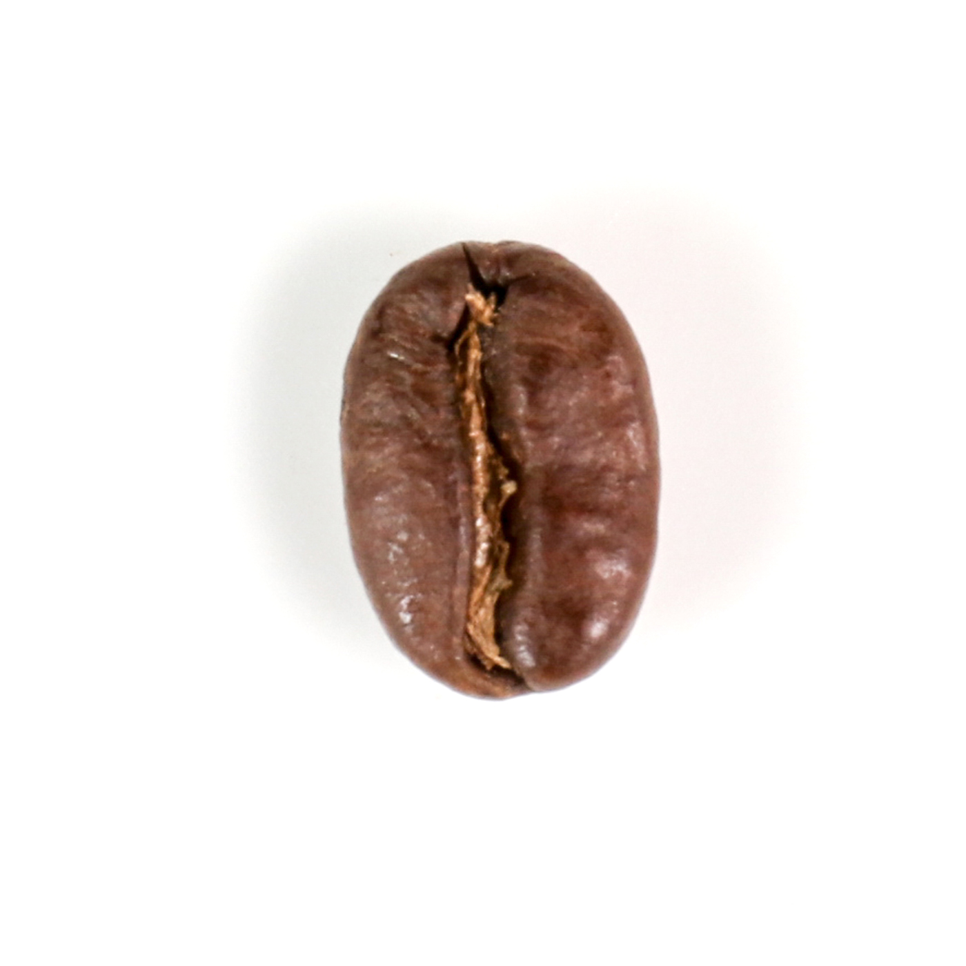 スターバックス アイスコーヒーブレンド 6