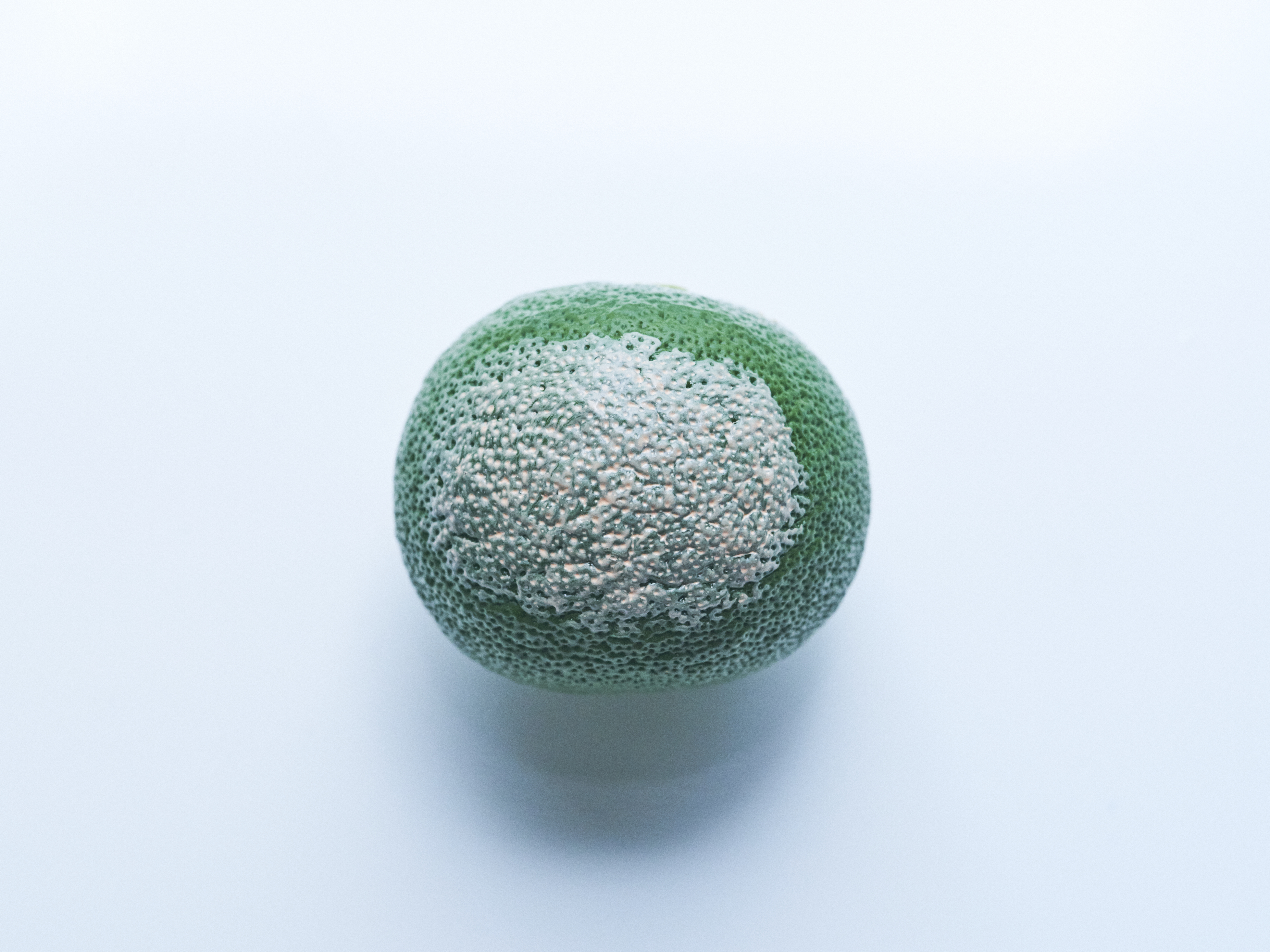 ジルスチュアート ラスティング フルフラットベースを全32商品と比較 口コミや評判を実際に使ってレビューしました Mybest