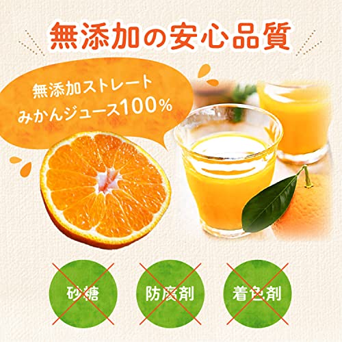 九州まるごとしぼり みかんジュース 2