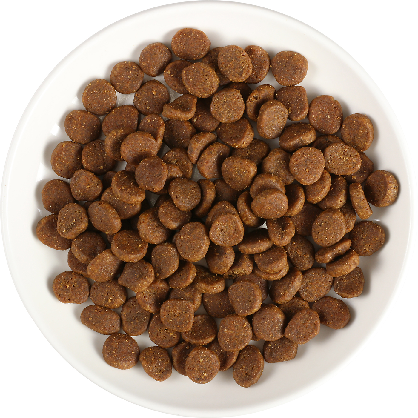 トイプードル向けドッグフードのおすすめ人気ランキング【2025年12月