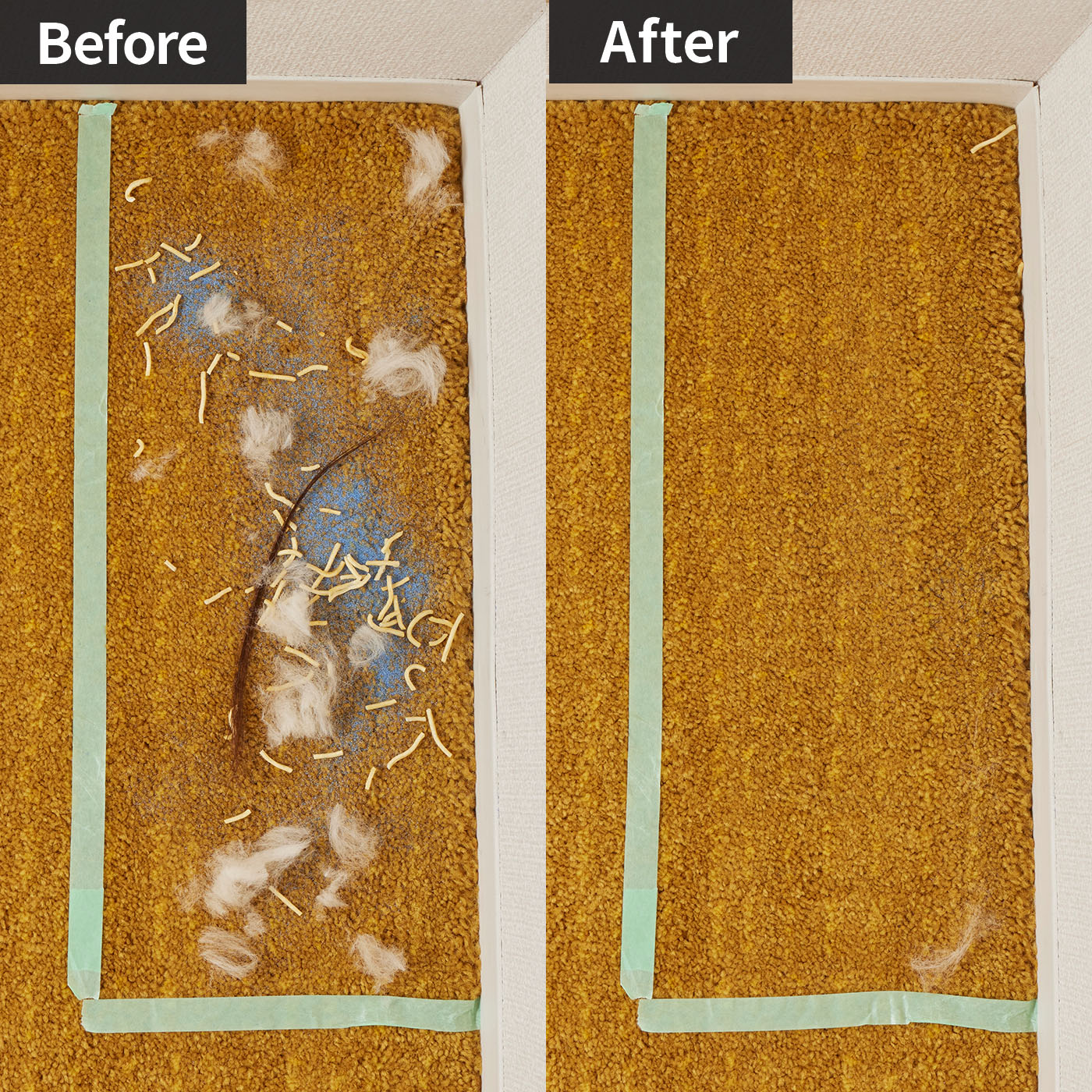 パナソニック 紙パック式キャニスター掃除機 MC-JP850Kをレビュー