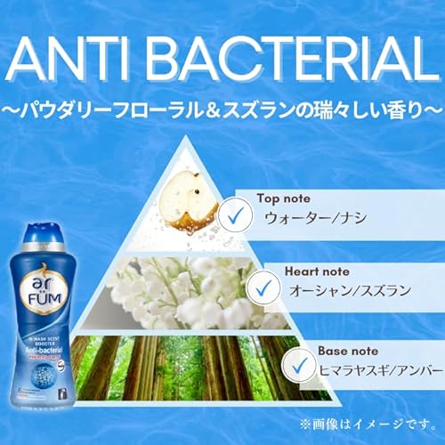 アンチバクテリア 2