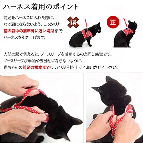 猫用ハーネス 3