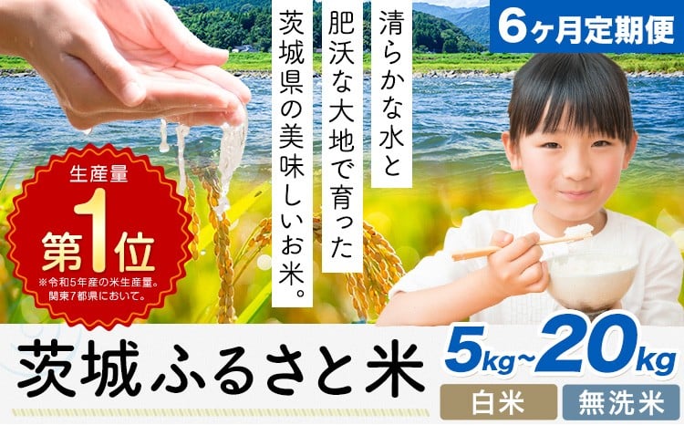 こしひかり 定期便 1