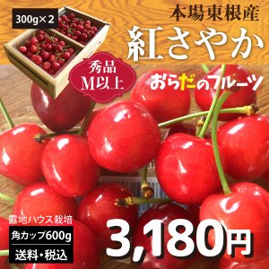 通販でおすすめのさくらんぼ人気ランキング10選 Mybest