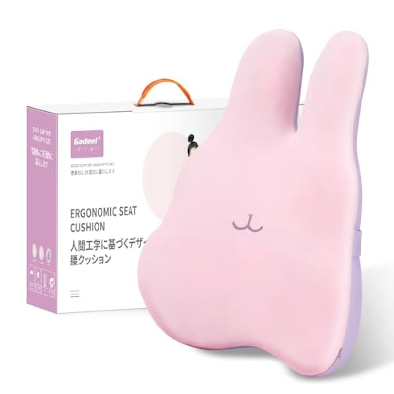 腰痛クッション 1