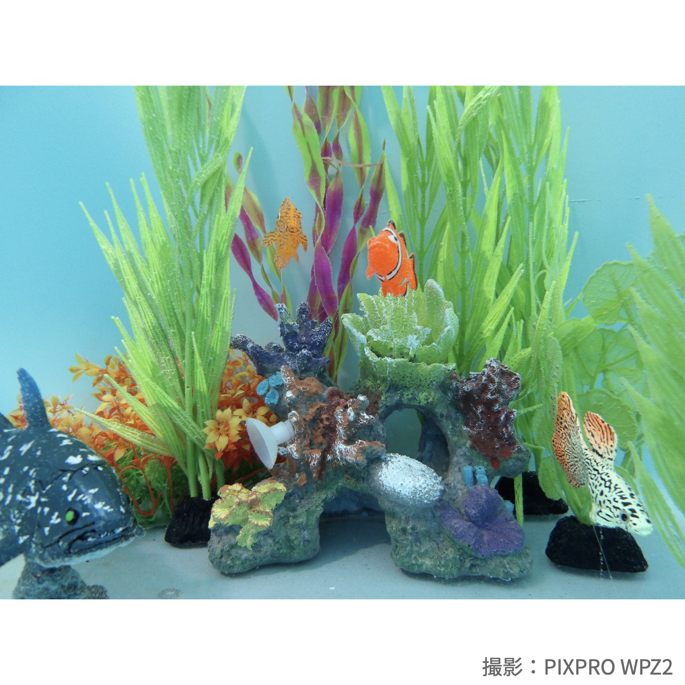 防水カメラ 19