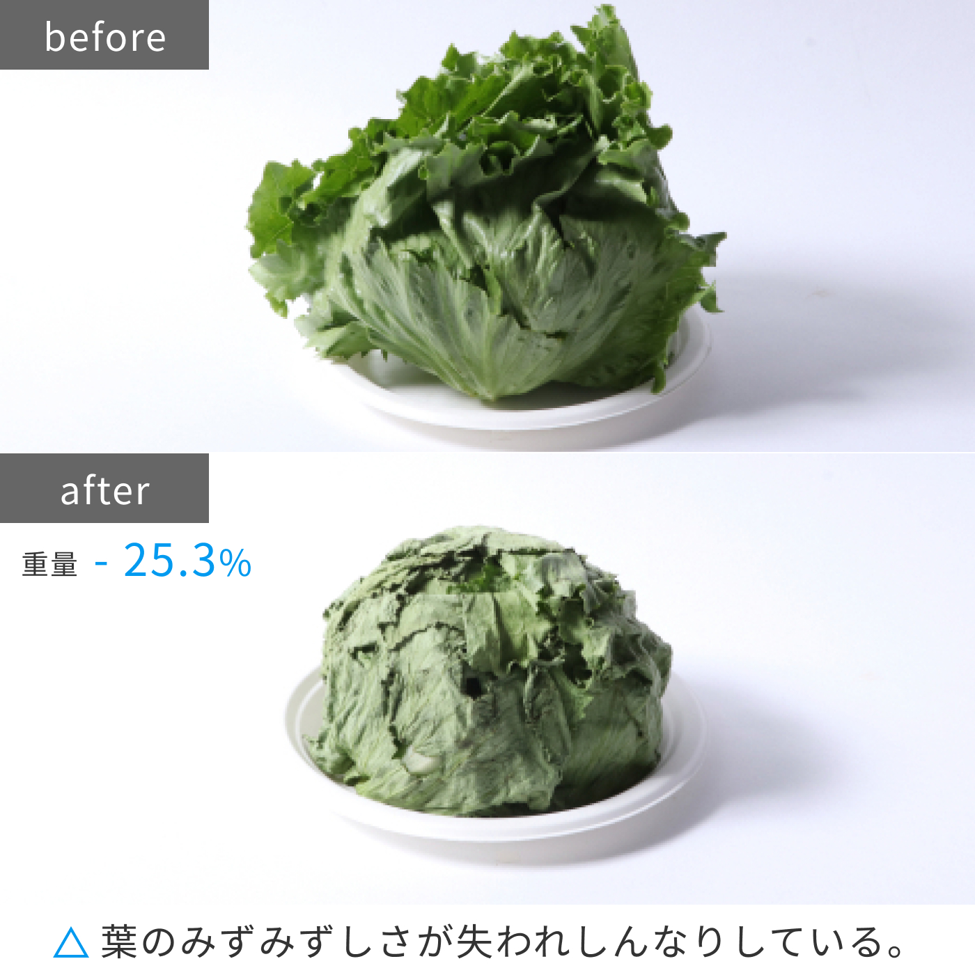 冷蔵庫 11