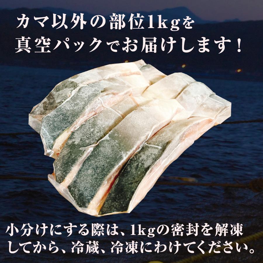  天然ブリ 切り落とし 2