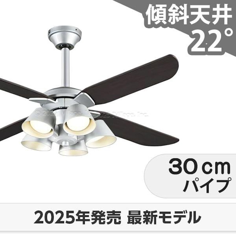 シーリングファンライト 1