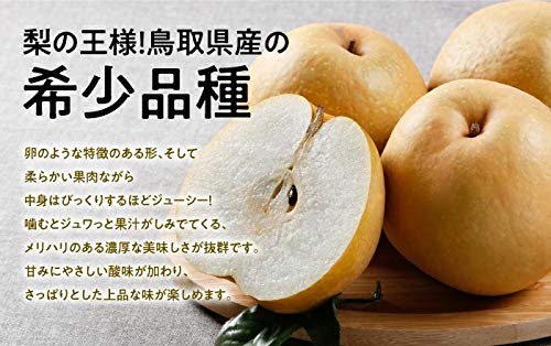 王秋梨 青秀 3