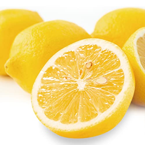 2023年】通販のお取り寄せレモンのおすすめ人気ランキング21選 mybest