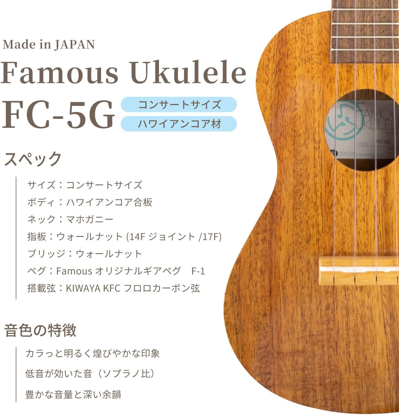 ウクレレ 初心者10点セット 5