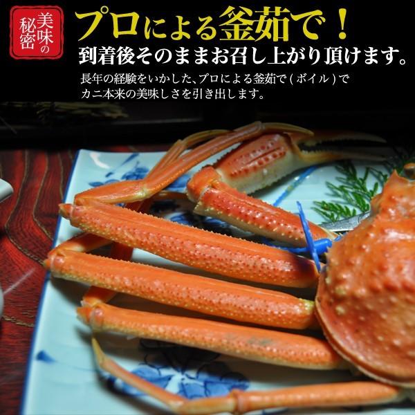 兵庫県産 松葉ガニ 4