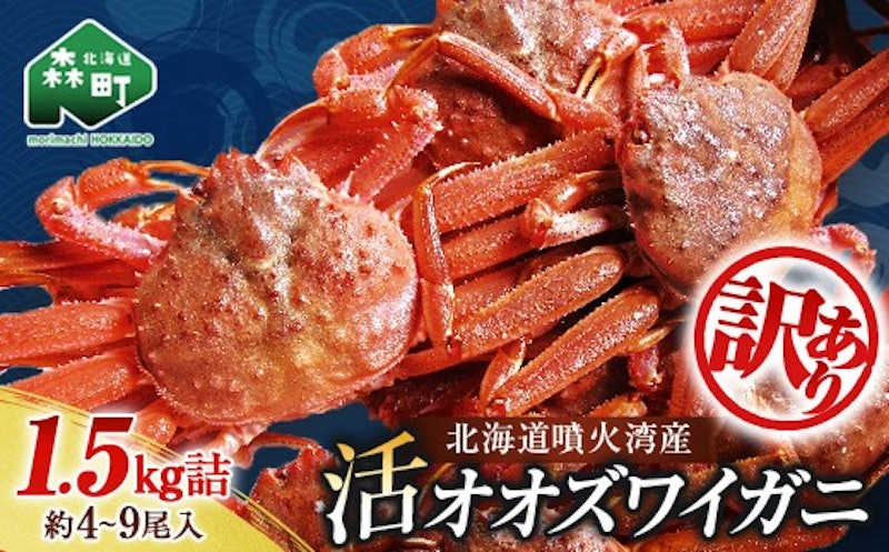 北海道噴火湾産 活オオズワイガニ 1