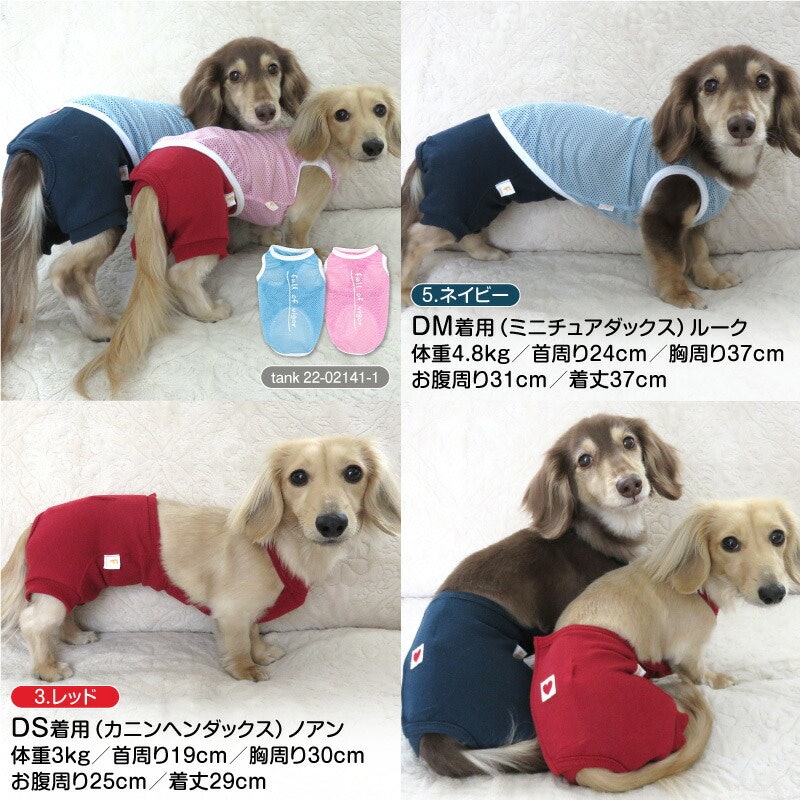マナーパンツ 4