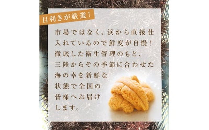 宮城県産 塩水 生うに 2