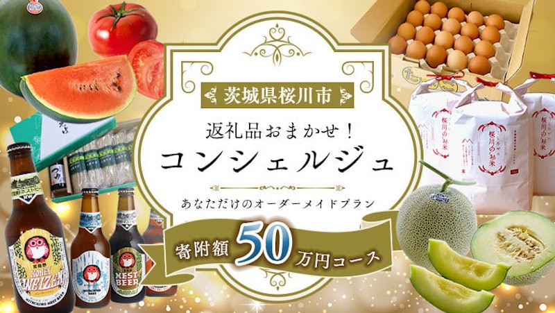 返礼品おまかせ!寄附額50万円コース 1