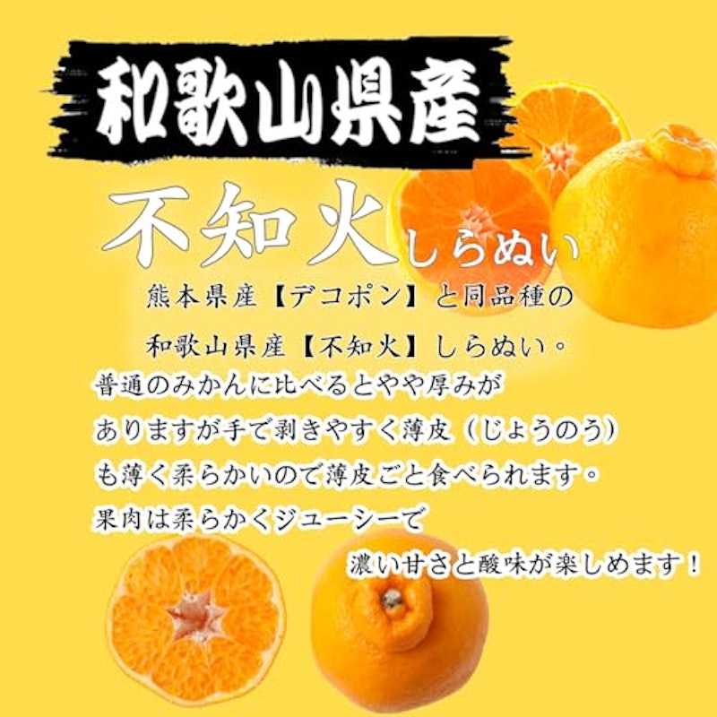 和歌山県産 不知火 2