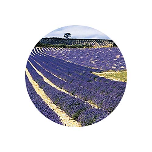 HerbalLife ラベンダー（フランス産） 2