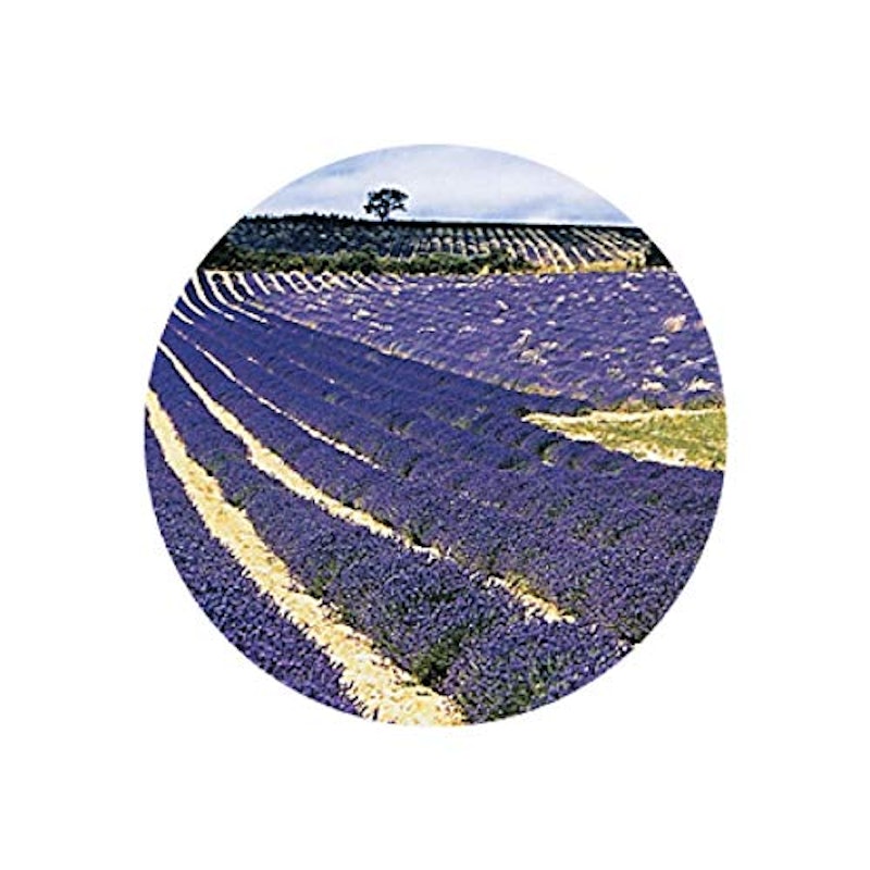 HerbalLife ラベンダー(フランス産) 2