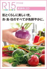 ダウンライト 3