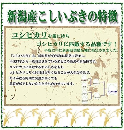 こしいぶき 2