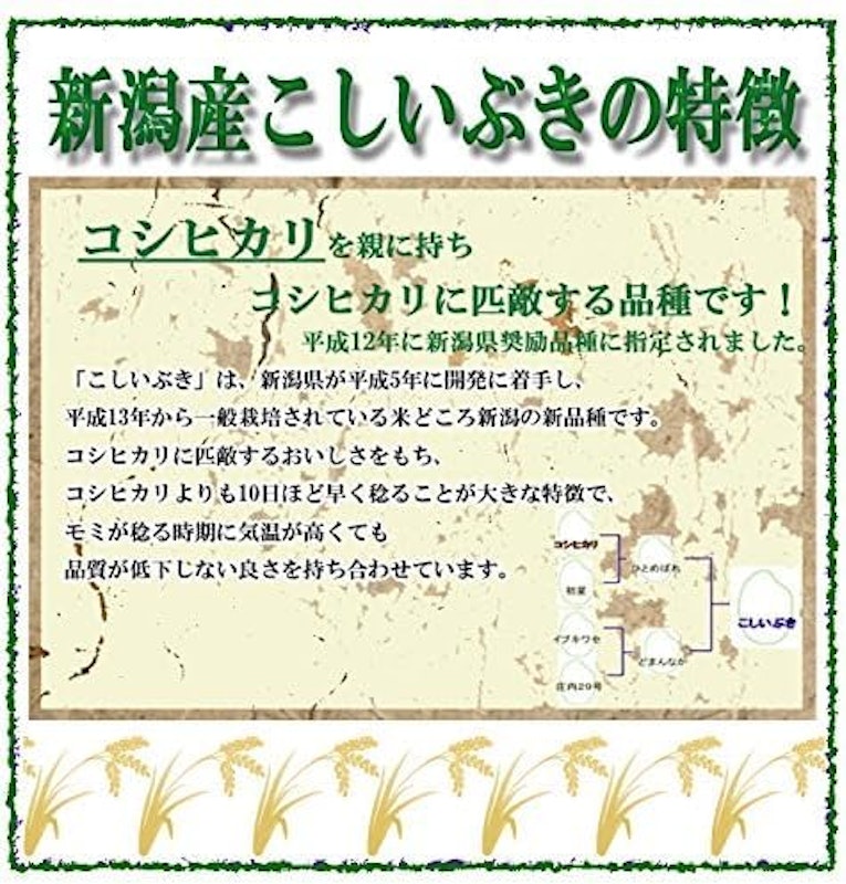こしいぶき 2