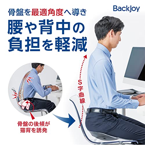 BackJoy 骨盤サポートシート  3