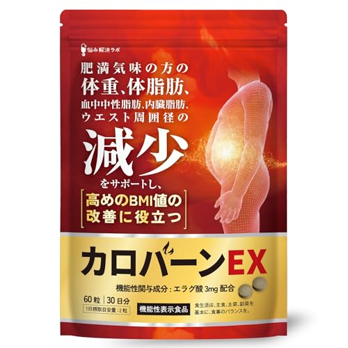 カロバーンEX 1