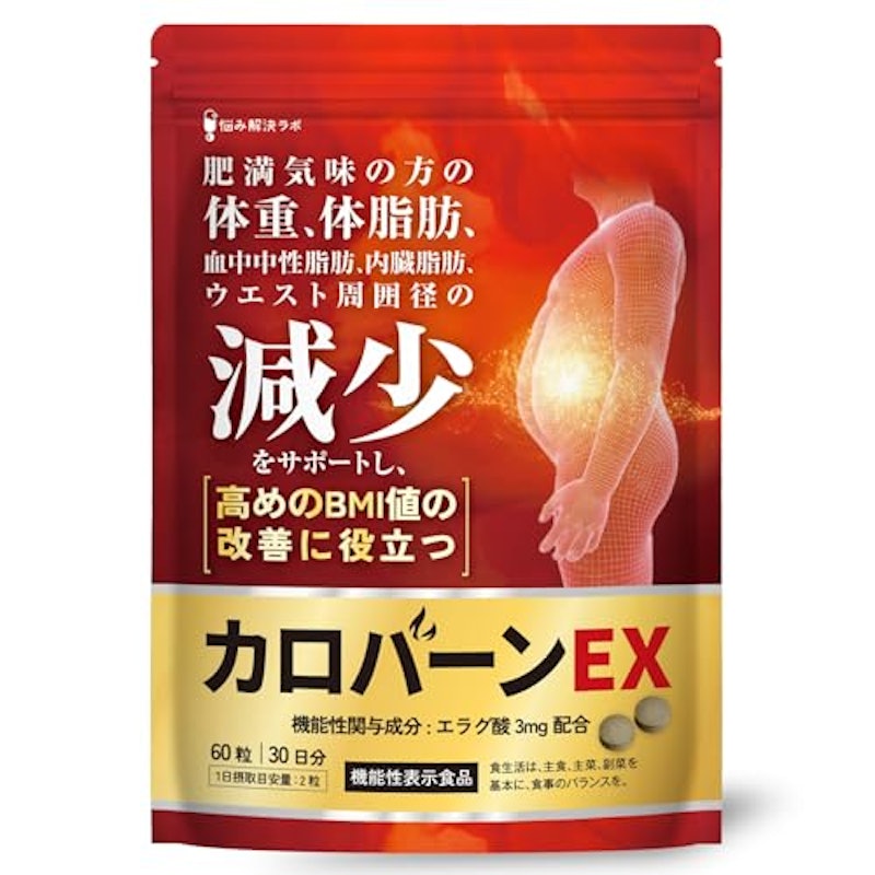 カロバーンEX 1