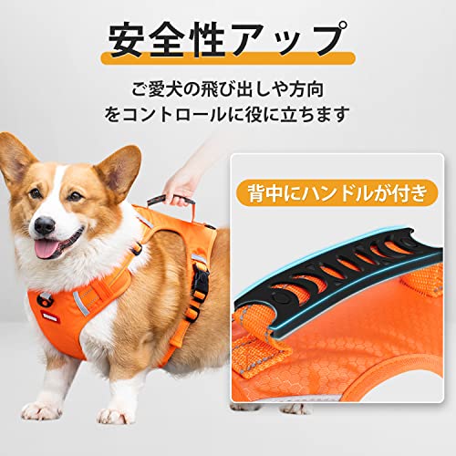 犬用ハーネス 3