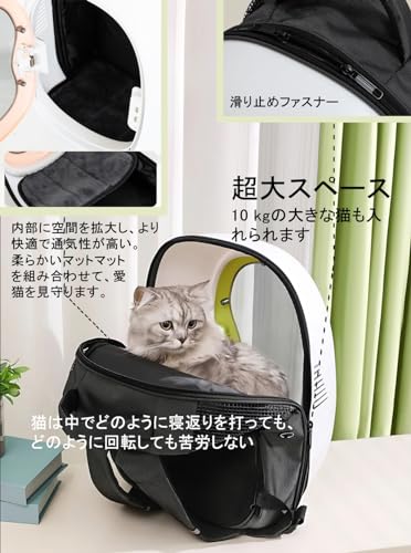 2パック 猫 バックパック キャリア ペットキャリア バックパック 通気性のあるメッシュデザイン 動物 トラベルバッグ ハイキング 猫のバックパック 、 拡張可能なペットキャリアバックパック、小さな犬、猫、子犬のための犬のバックパックキャリア、ハイキング、キャンプ ... BAGLHER(バグラハ) 拡張可能猫キャリア 旅行用トイレ付き ペットトラベル 5面オープンドア 3面 漏れ防止 折りたたみ式 車