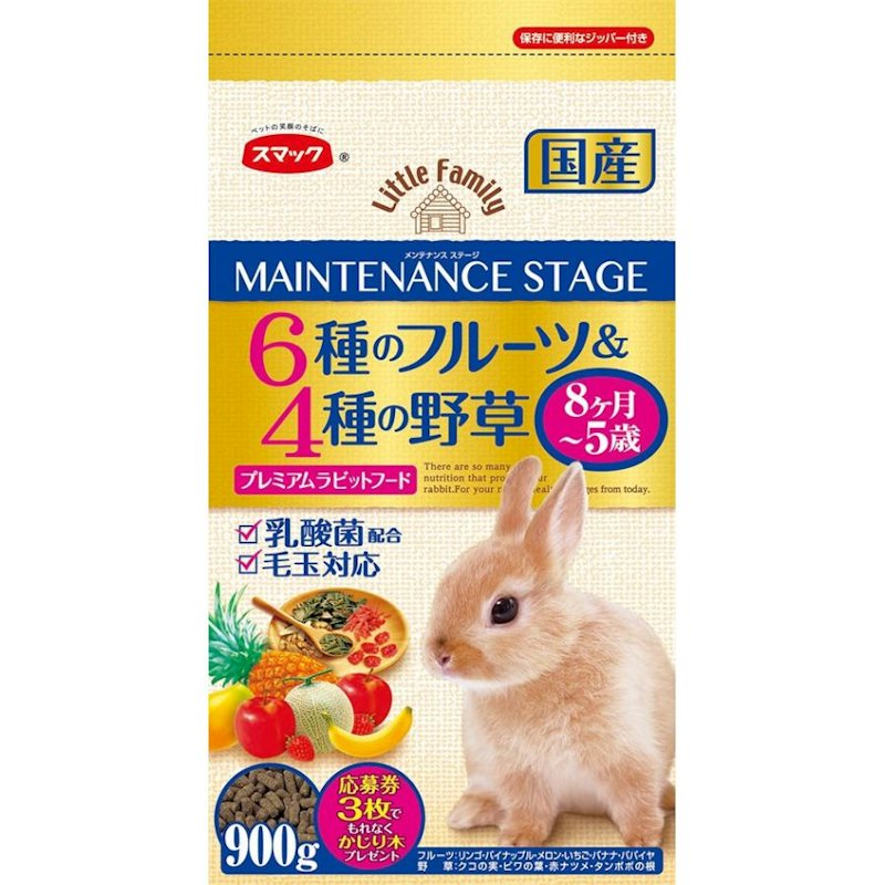 メンテナンスステージ 1