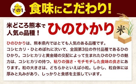 白米 ひのひかり 定期便 2