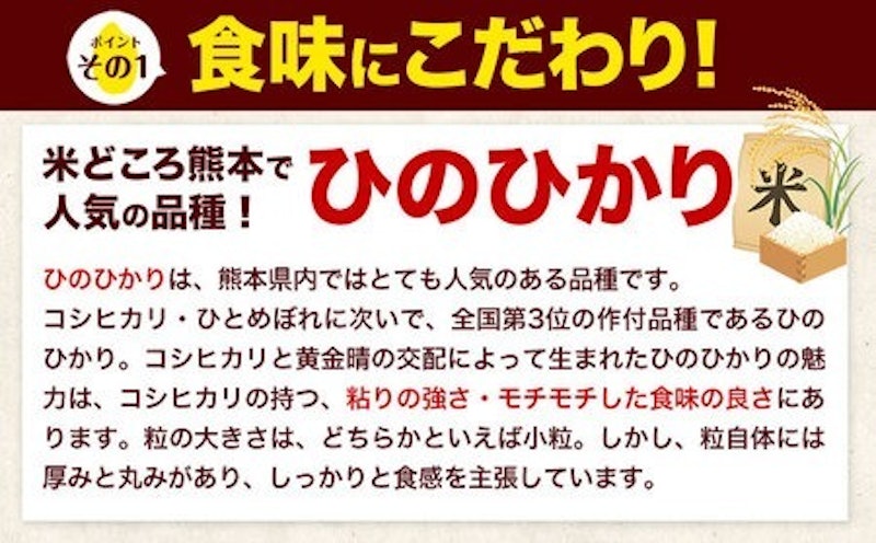 白米 ひのひかり 定期便 2