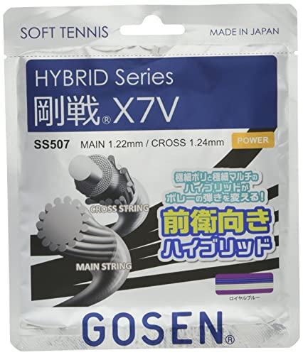 剛戦X7V 1